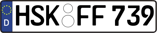 HSK-FF739