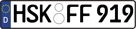 HSK-FF919
