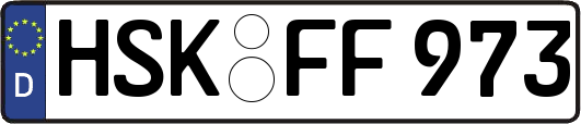 HSK-FF973