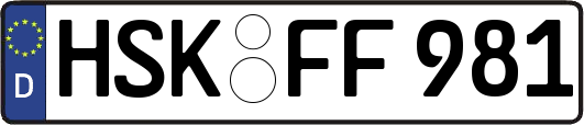 HSK-FF981