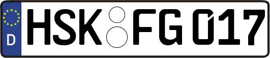 HSK-FG017