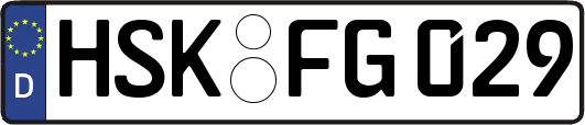 HSK-FG029