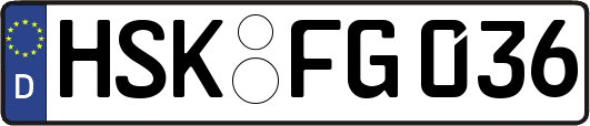 HSK-FG036