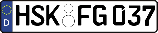 HSK-FG037