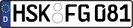 HSK-FG081