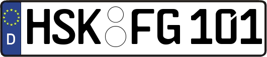 HSK-FG101