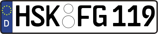 HSK-FG119