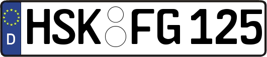 HSK-FG125