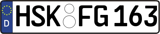 HSK-FG163