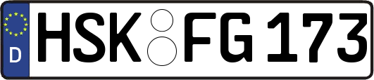 HSK-FG173