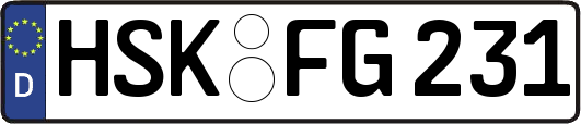 HSK-FG231