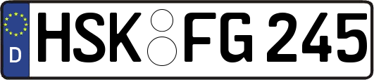 HSK-FG245