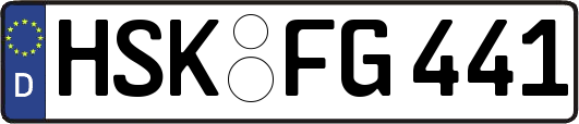 HSK-FG441