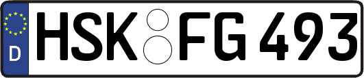 HSK-FG493