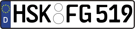 HSK-FG519