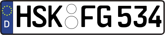 HSK-FG534