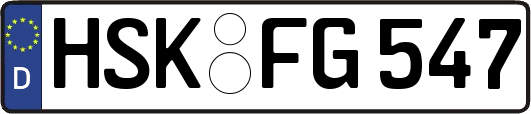 HSK-FG547