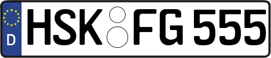 HSK-FG555
