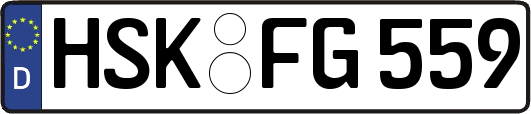 HSK-FG559