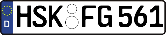HSK-FG561