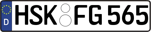 HSK-FG565