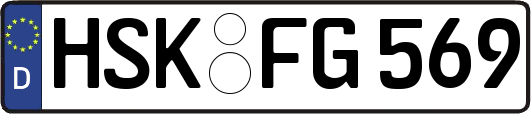 HSK-FG569