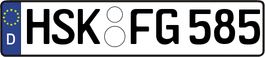 HSK-FG585