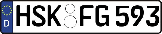 HSK-FG593