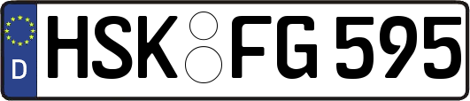 HSK-FG595