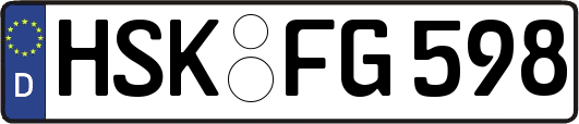 HSK-FG598