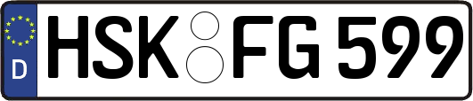 HSK-FG599