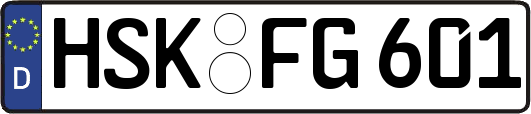 HSK-FG601