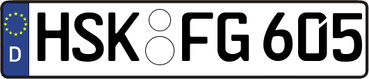 HSK-FG605