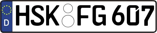 HSK-FG607