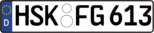 HSK-FG613
