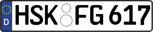 HSK-FG617