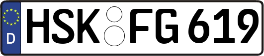 HSK-FG619