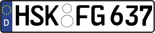 HSK-FG637