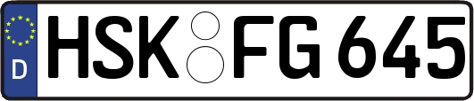 HSK-FG645