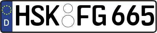 HSK-FG665