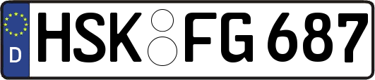 HSK-FG687