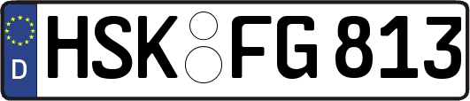 HSK-FG813