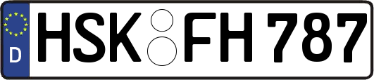 HSK-FH787