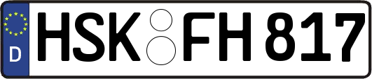 HSK-FH817