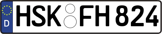 HSK-FH824
