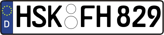 HSK-FH829