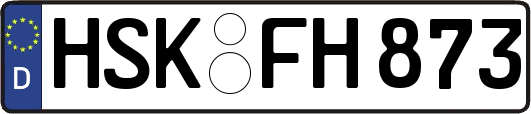 HSK-FH873