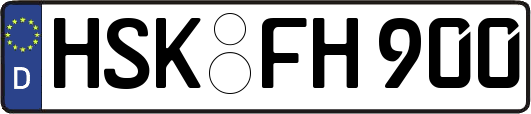 HSK-FH900