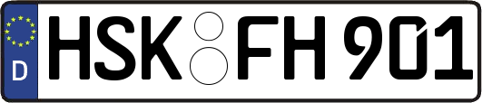 HSK-FH901