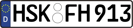 HSK-FH913
